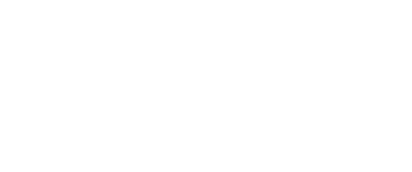 Tinsley Park Partners