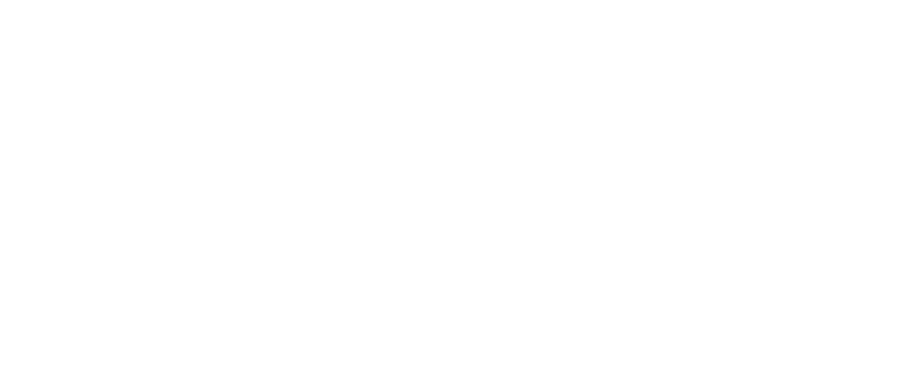 Tinsley Park Partners